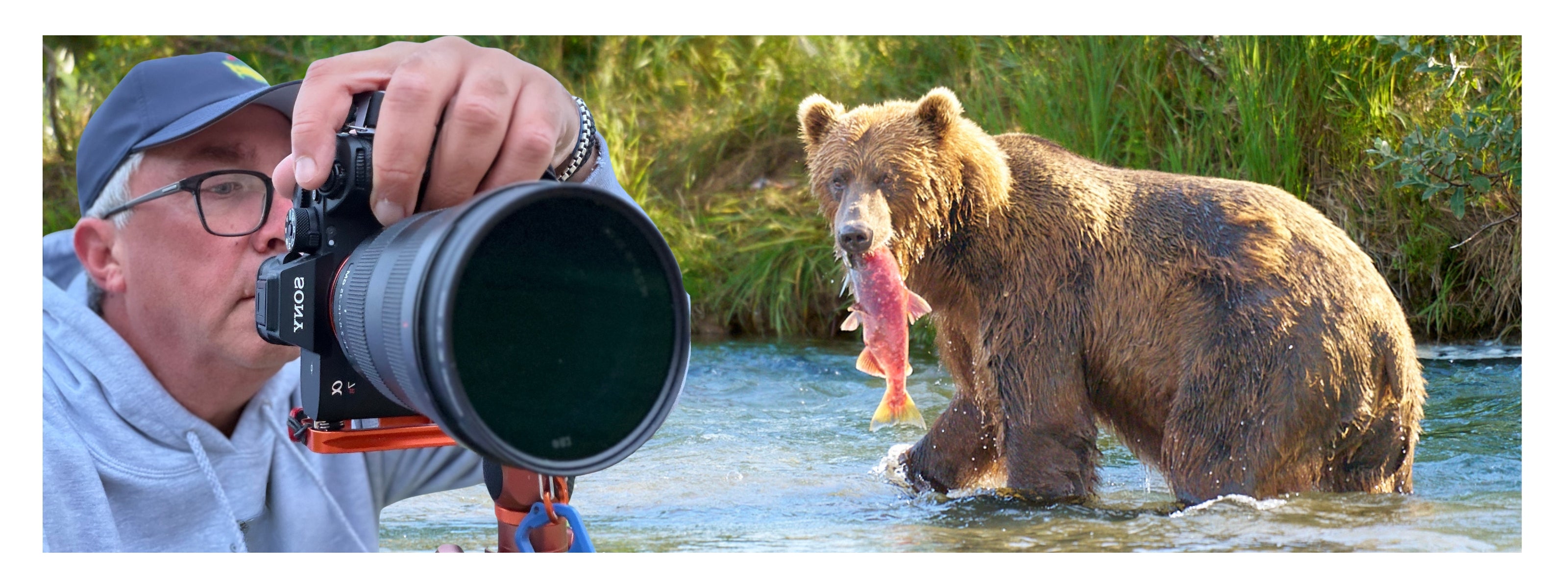 Chasing Giants: An Alaskan Grizzly Bear Photography Expedition