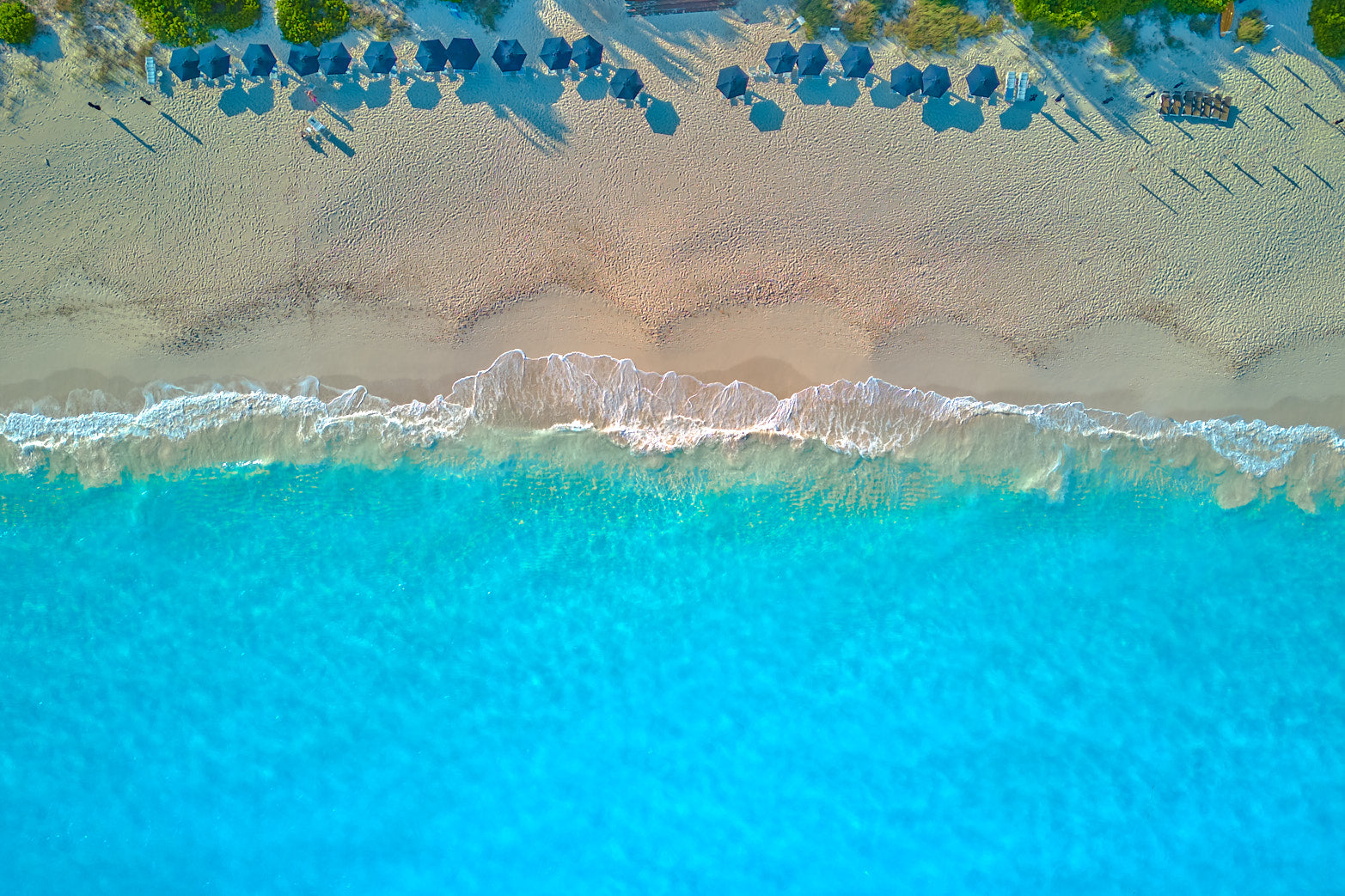 Beach Day