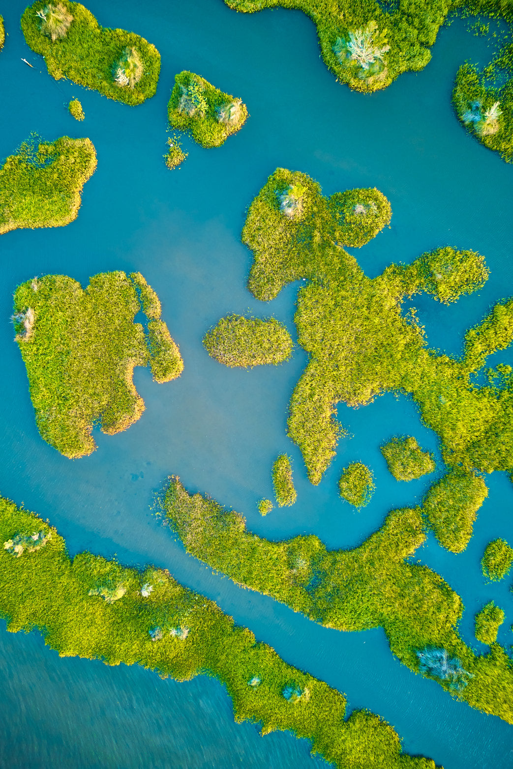 Island Beginnings 3