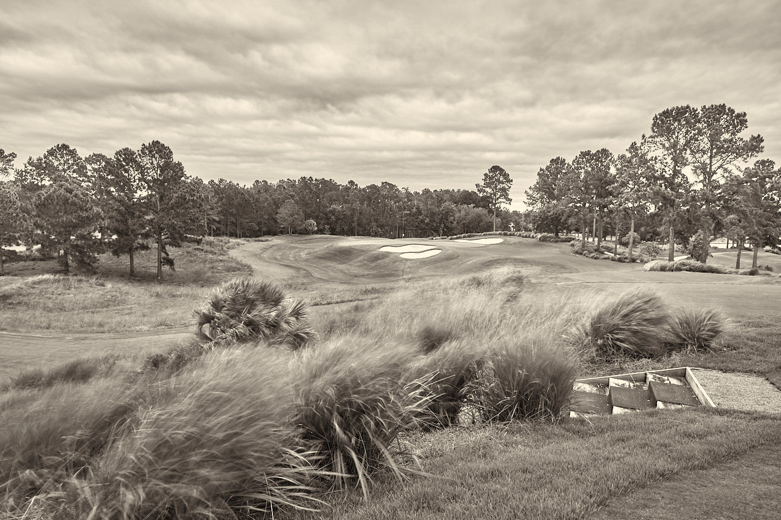 8 North B&W - 1