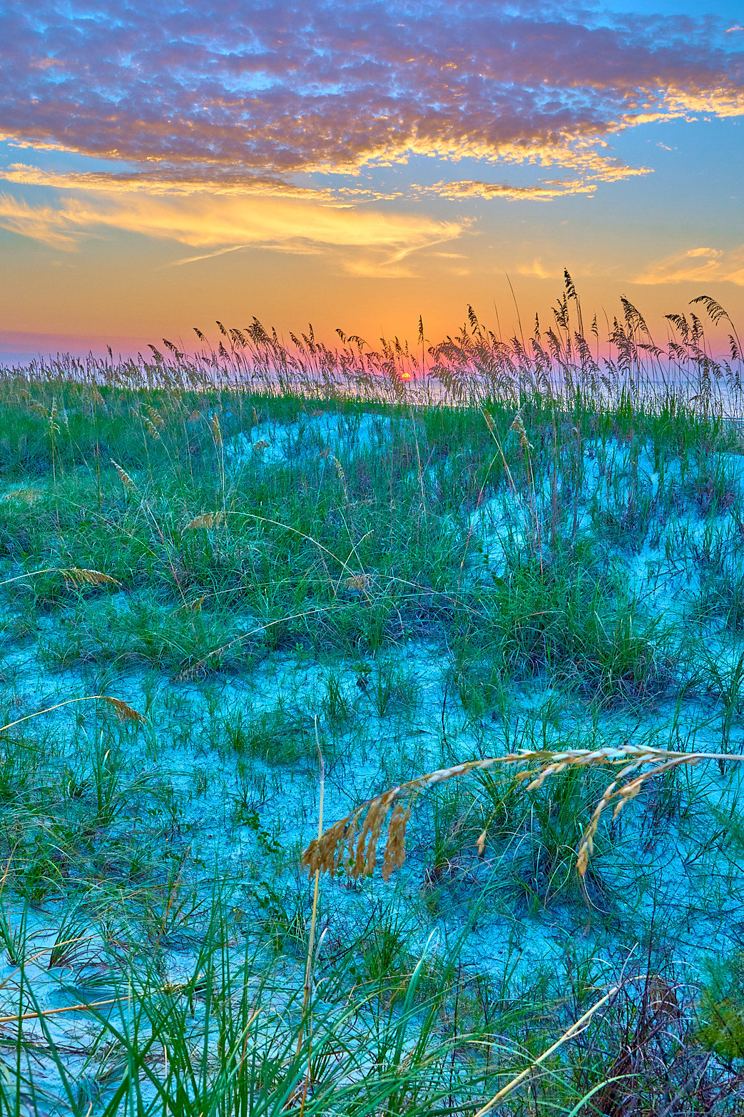 Dune