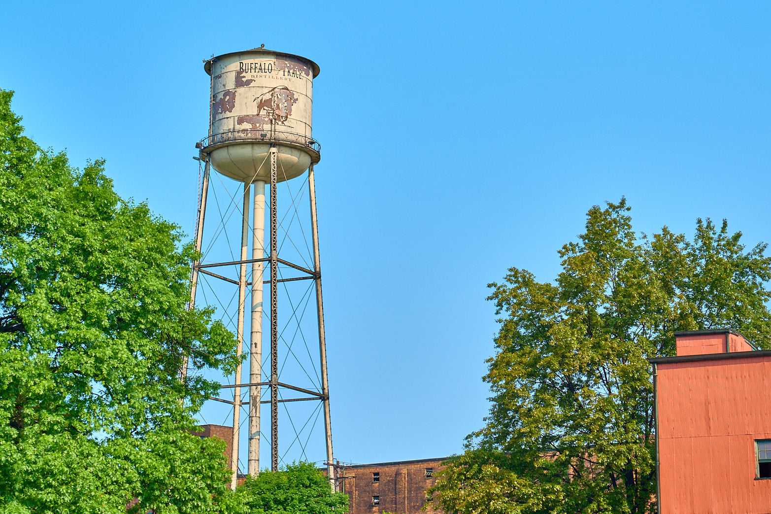 Buffalo Trace