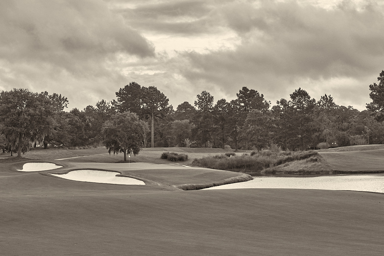 12 North Sunrise B&W