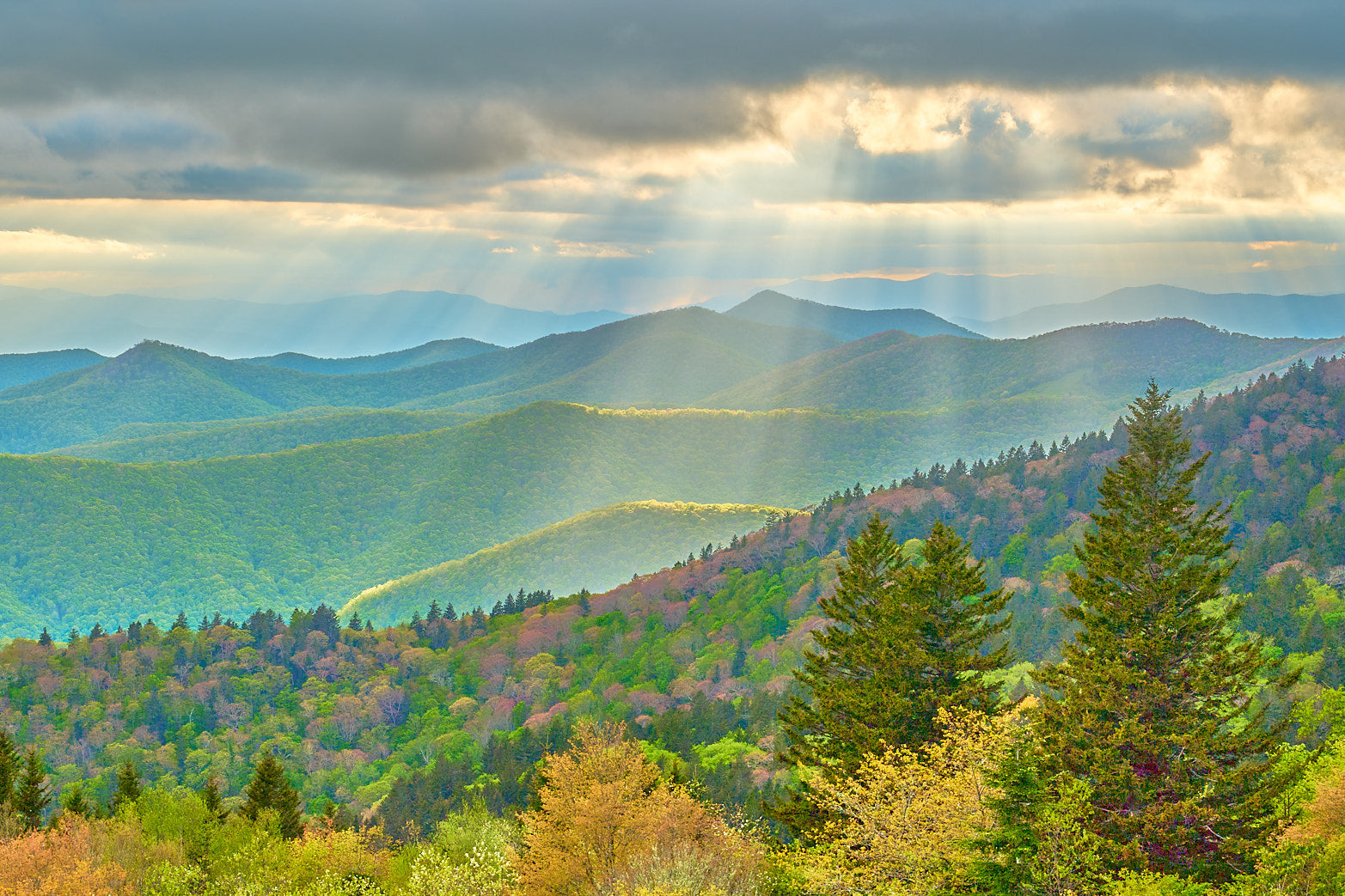 Blue Ridge Heaven