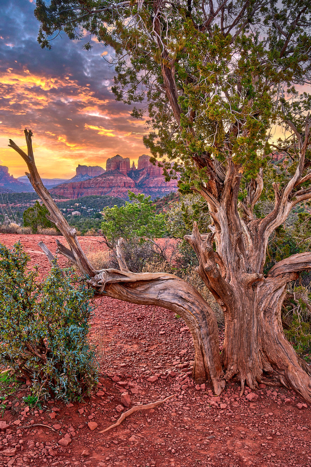 Sunrise in Sedona