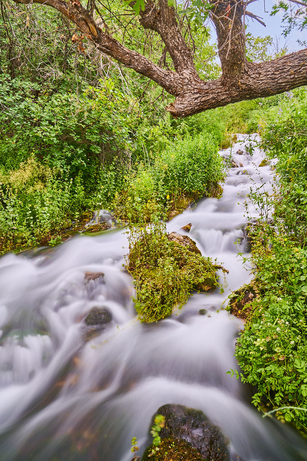 Spring Thaw