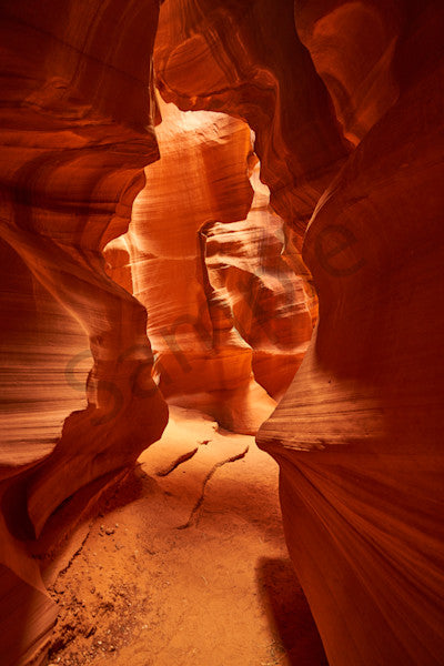 Fire in the Canyon