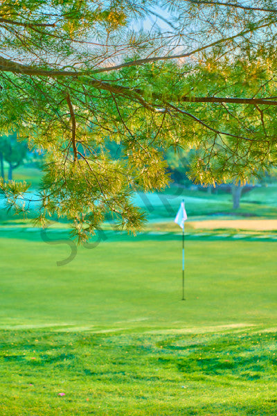 11th Hole Four Bridges - 9
