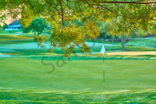 11th Hole Four Bridges - 10