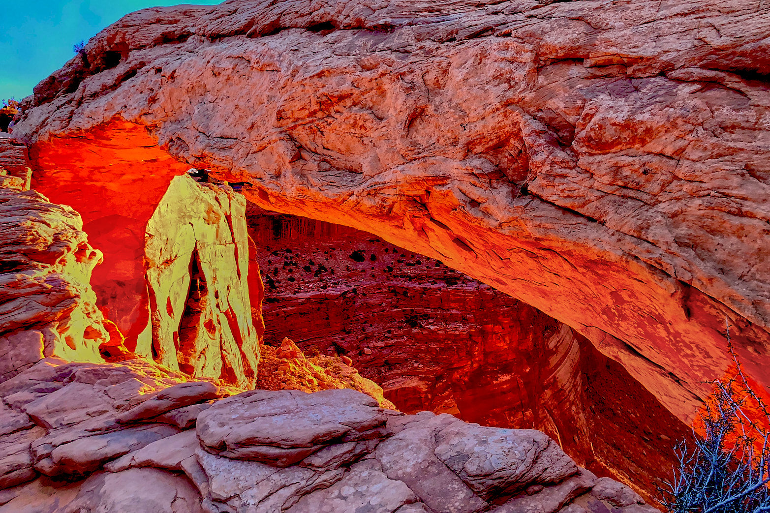 Mesa Light
