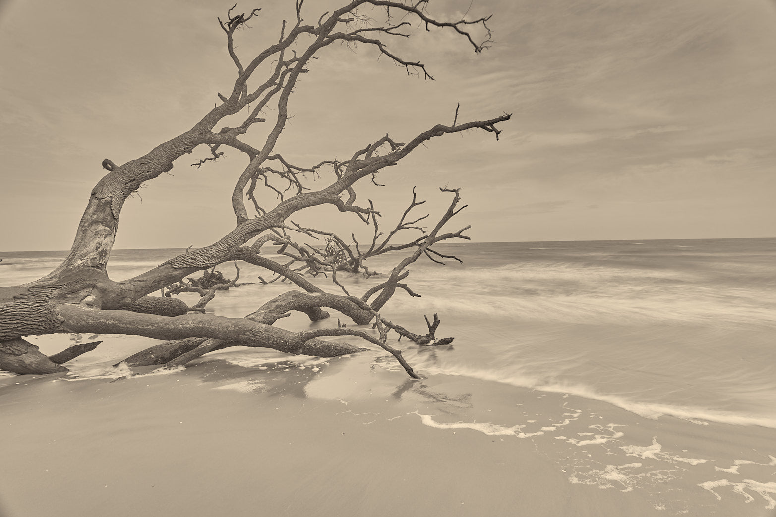Boneyard Reach