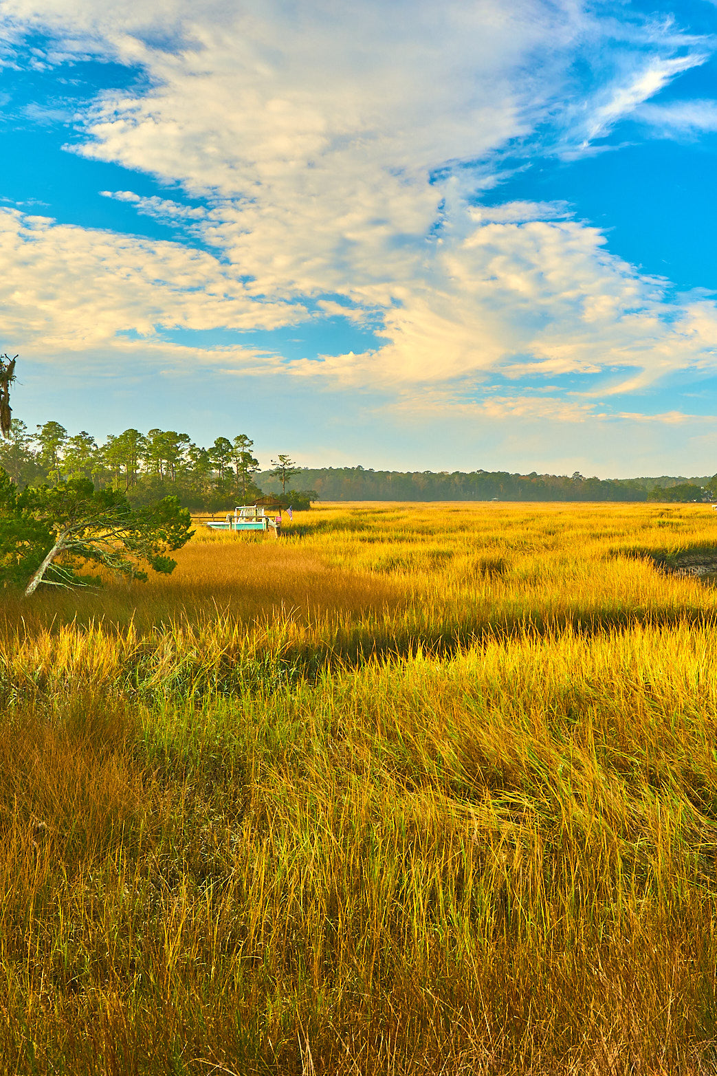 Harvest Marsh