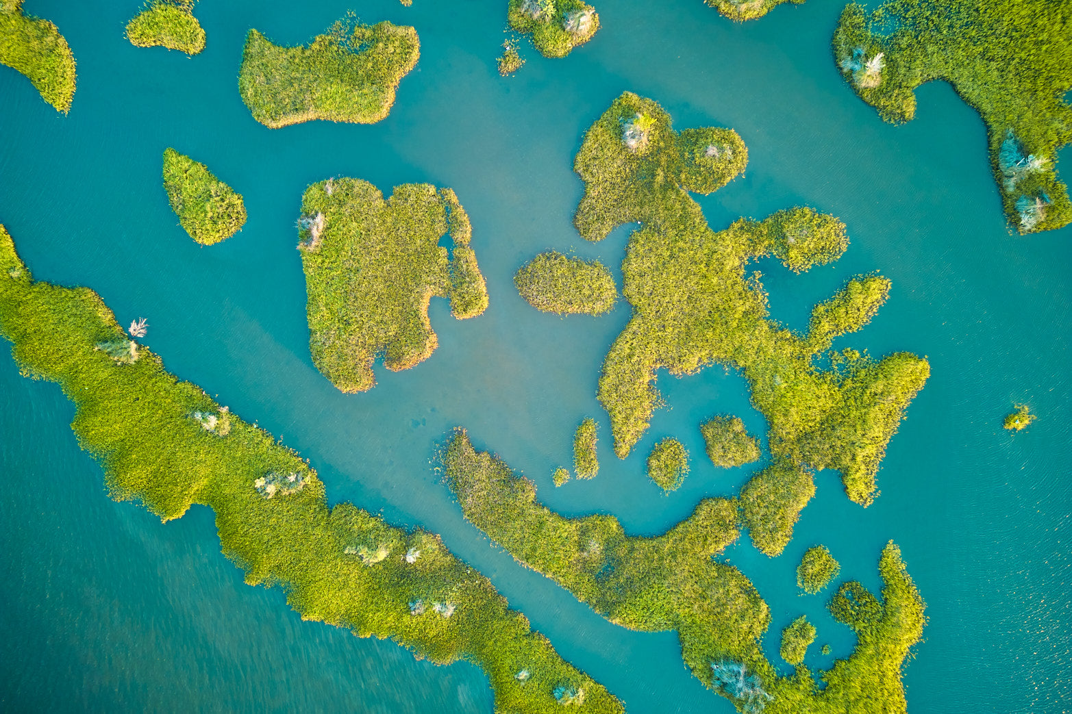Island Beginnings 2