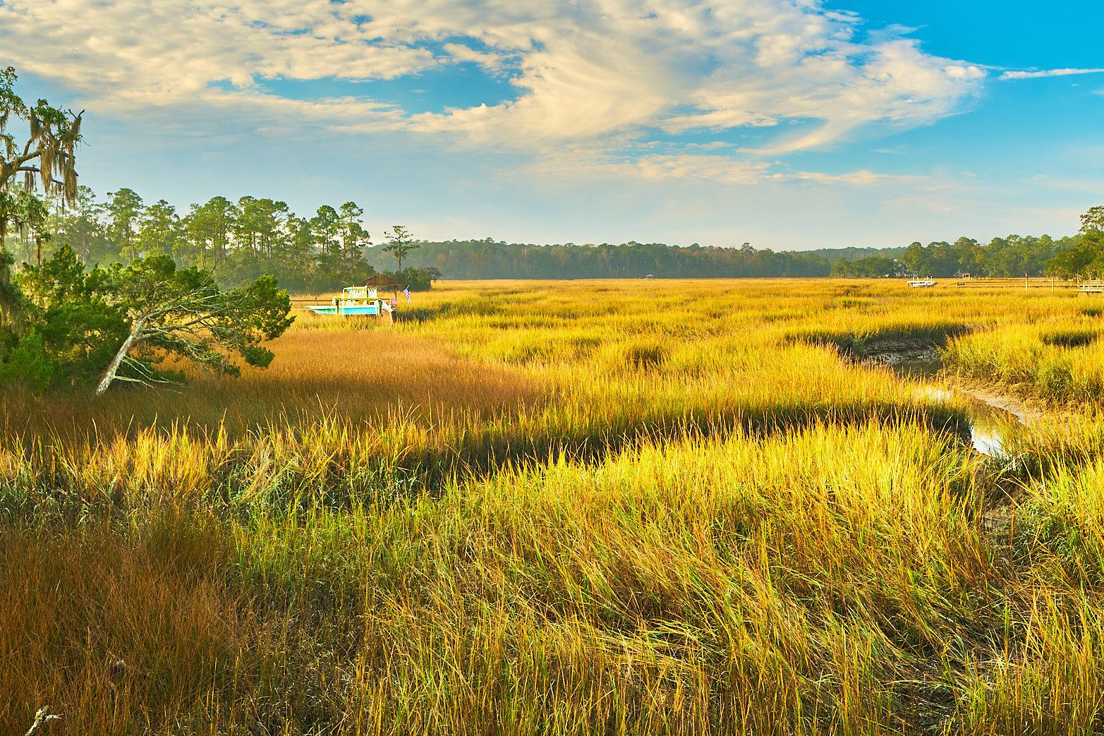 Lowcountry Fall