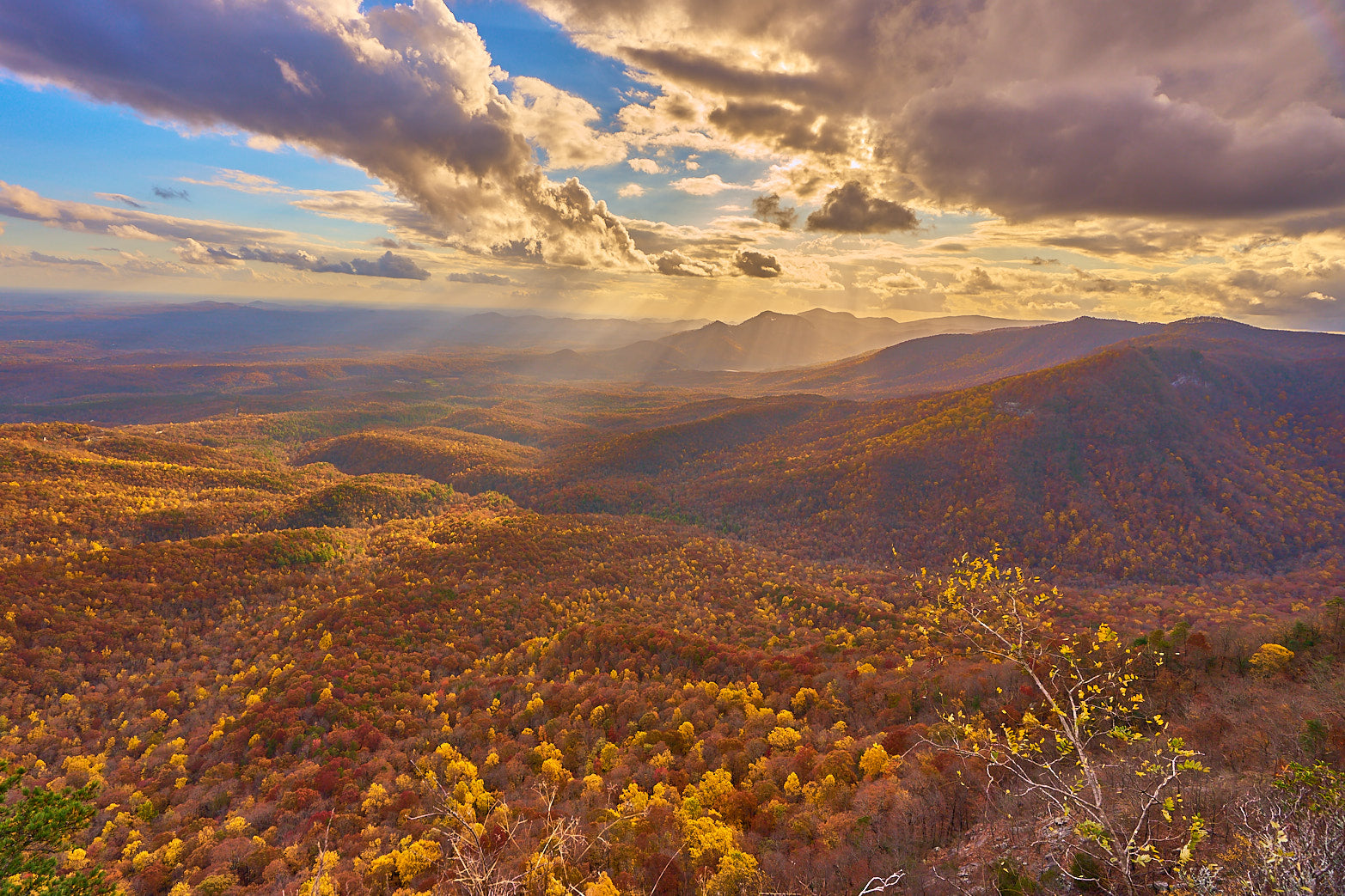 Blue Ridge Autumn