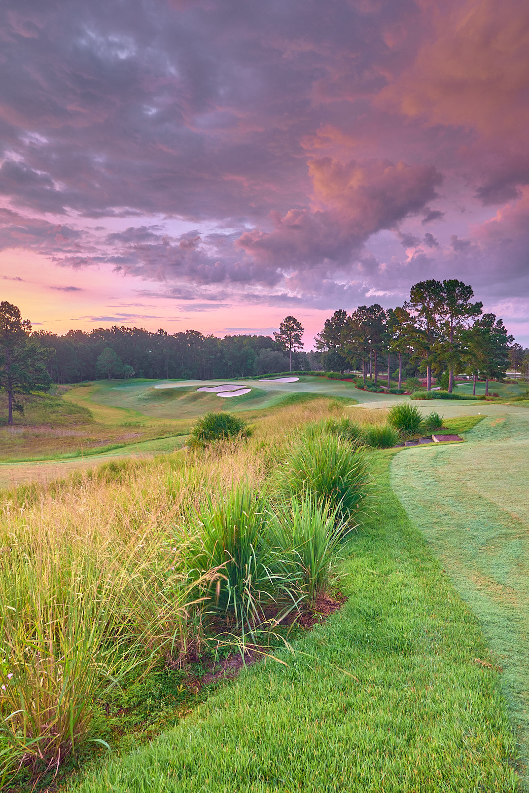 8 North Sunrise 2