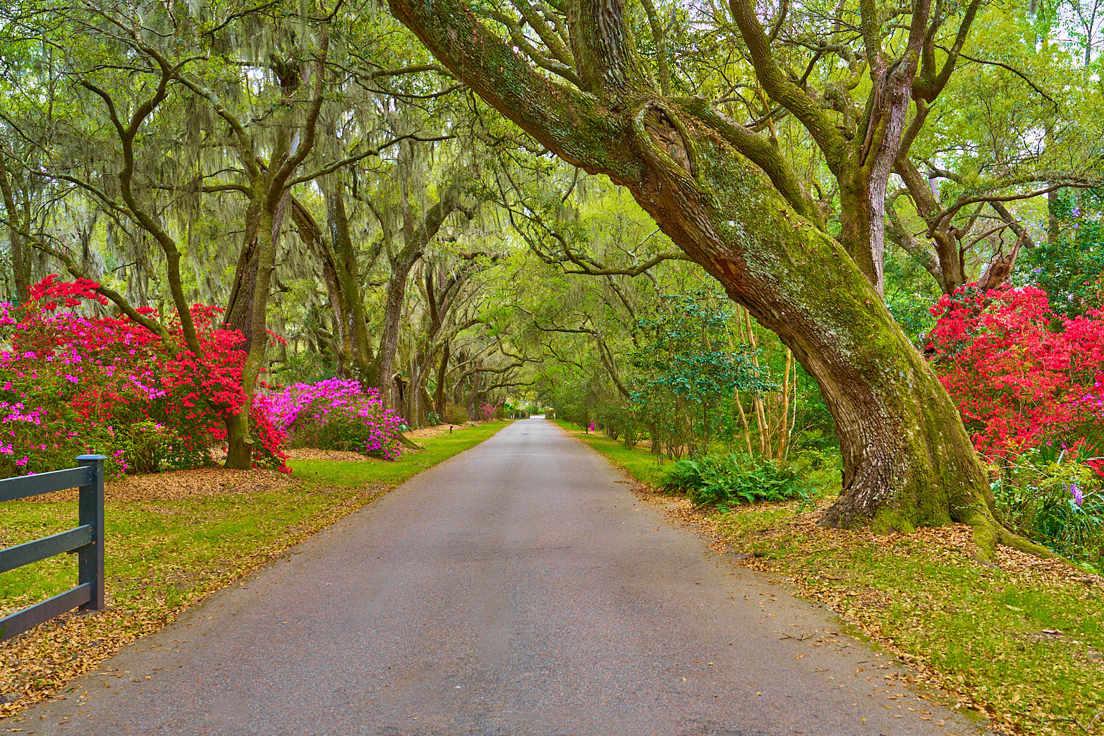 Garden Road