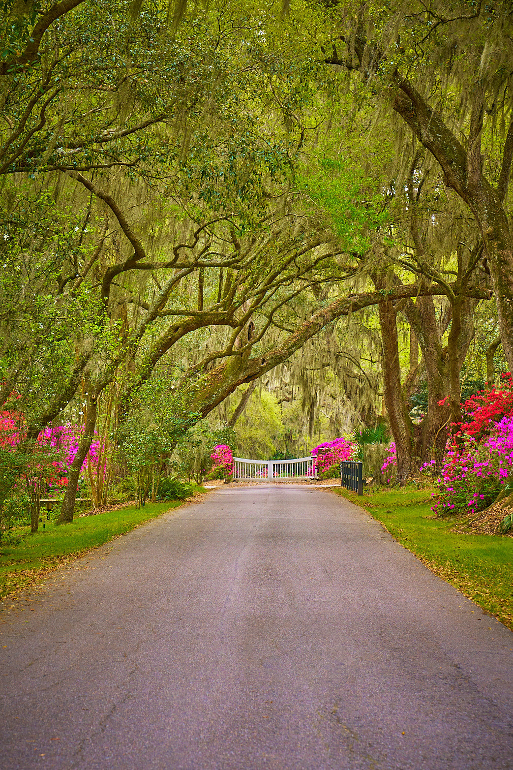 Spring Gateway