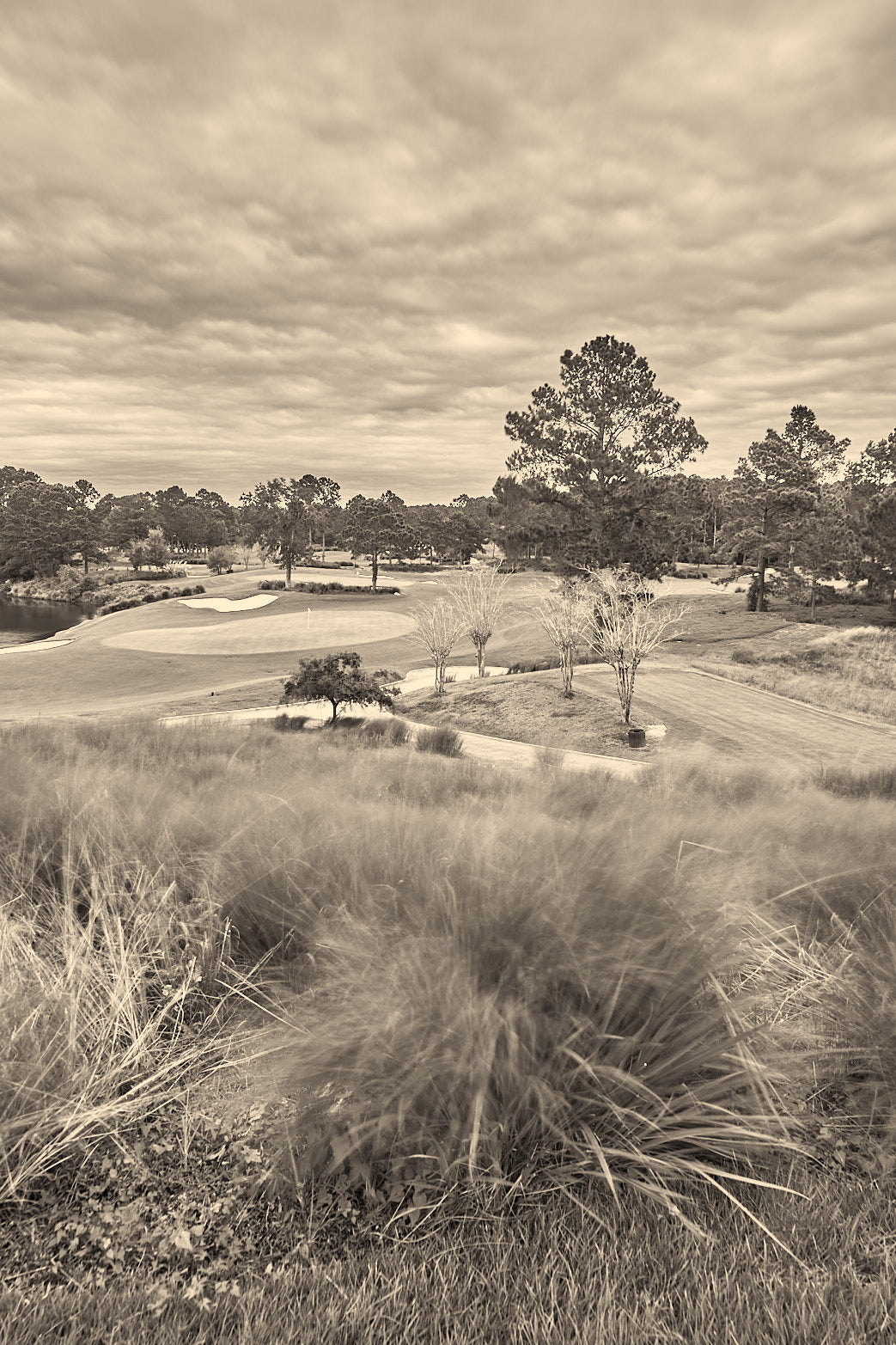 7 North Sunrise B&W