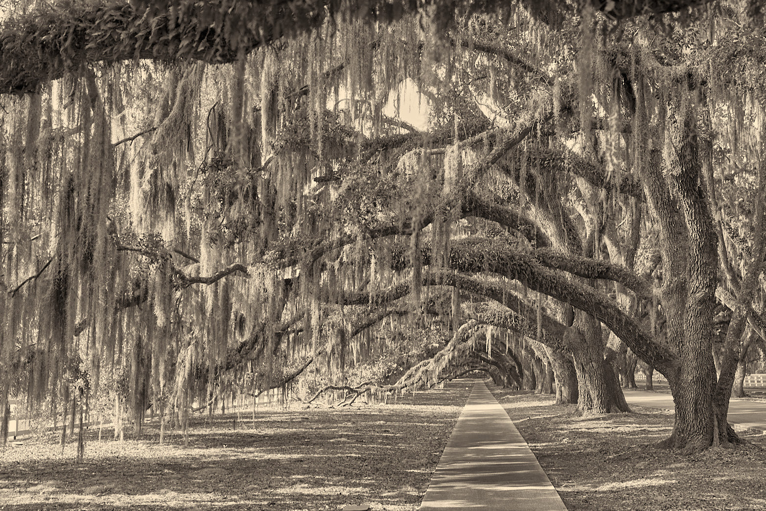 Old World
