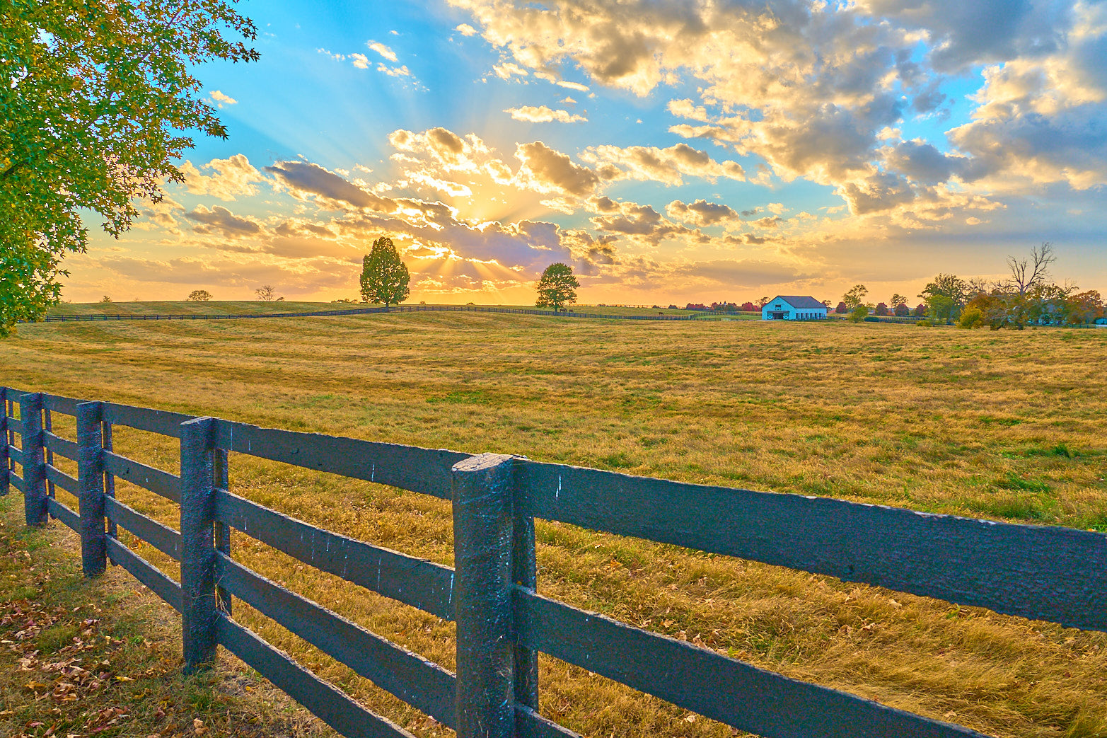Perfect Pastures