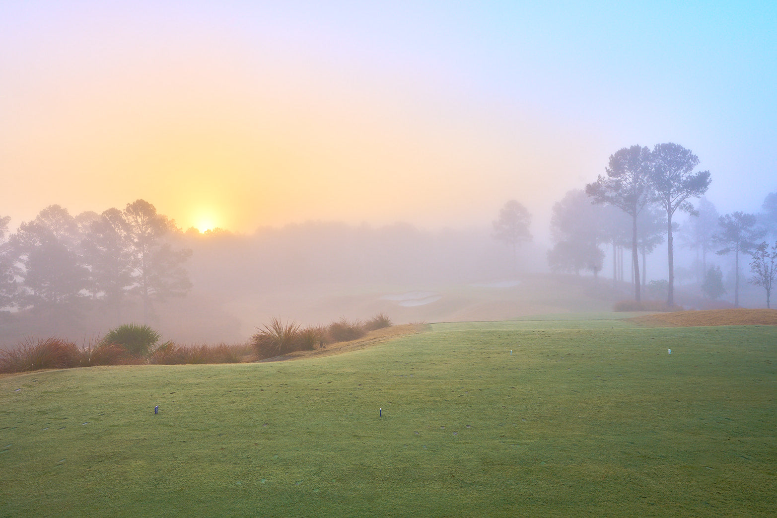 8 North Berkeley Hall - Sunrise In Fog