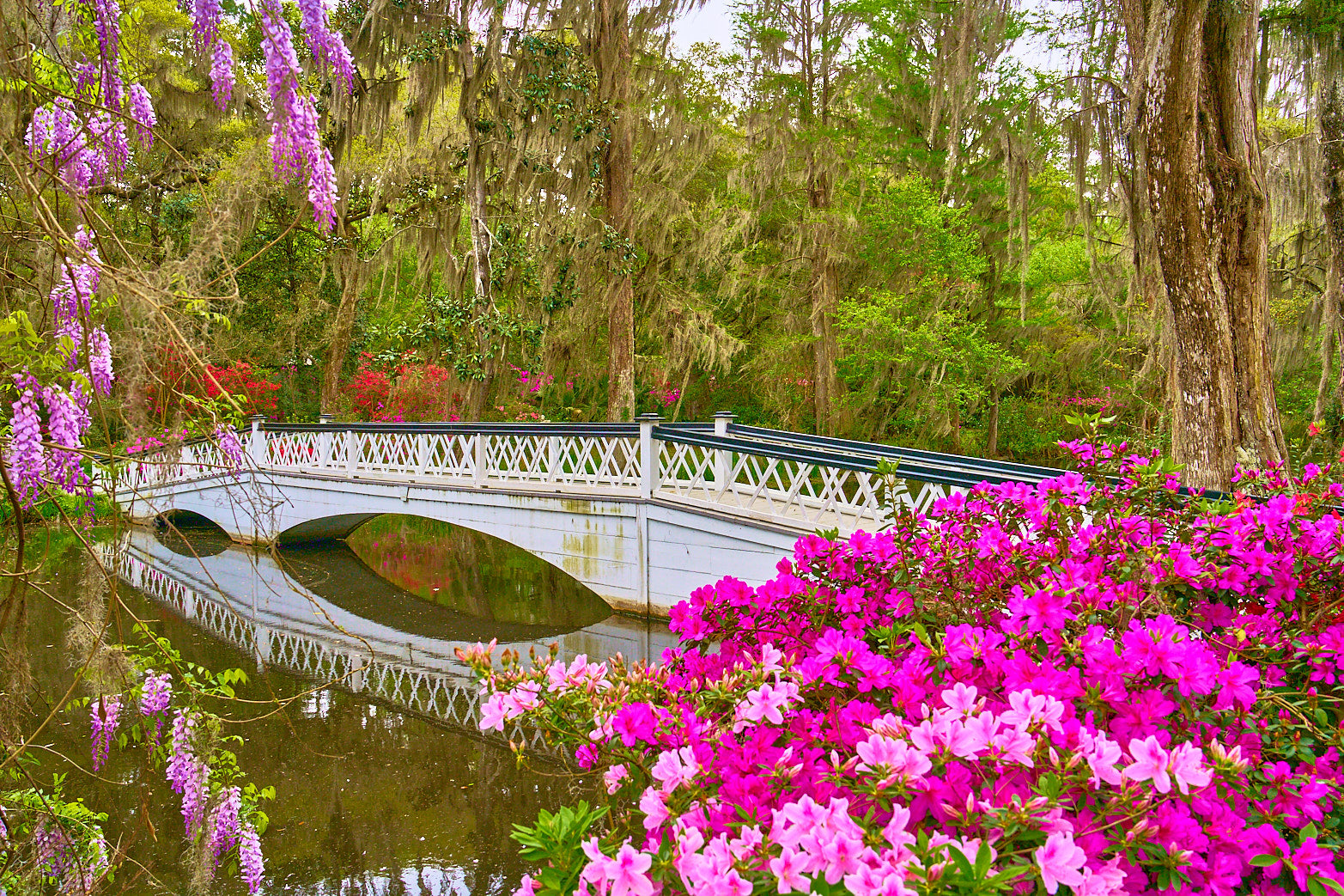 Spring Bridge
