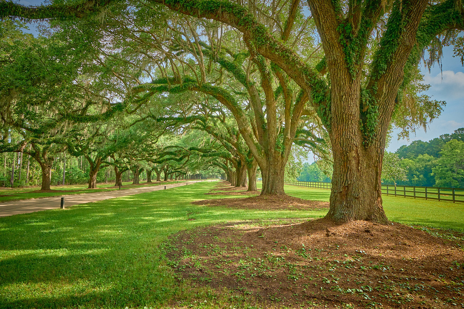 Southern Charm