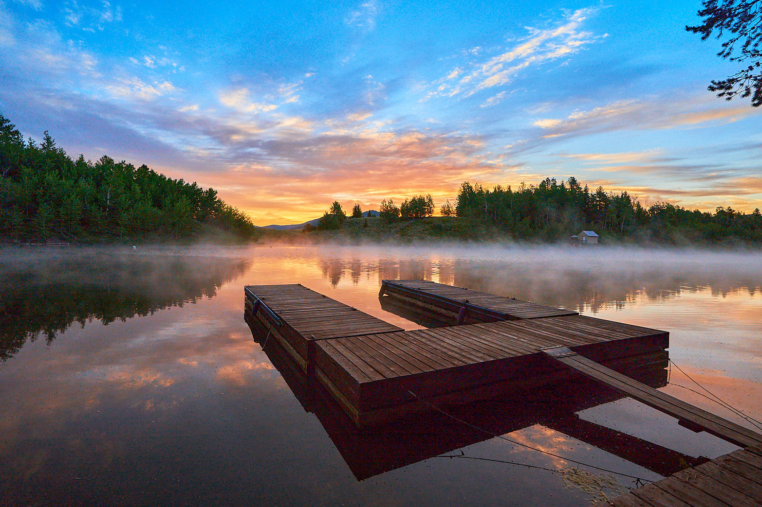 Mystic Morning