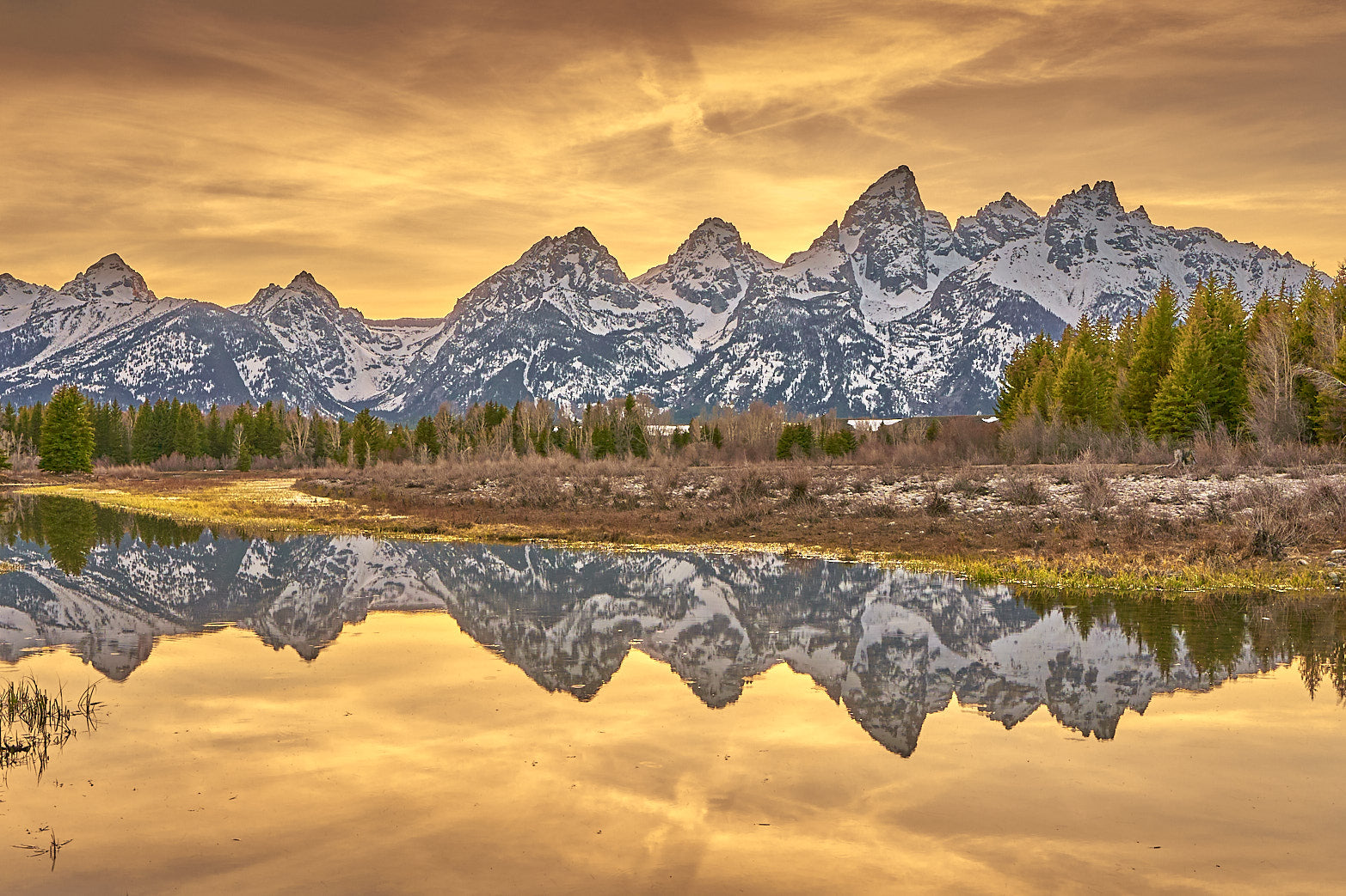 Teton Reflection
