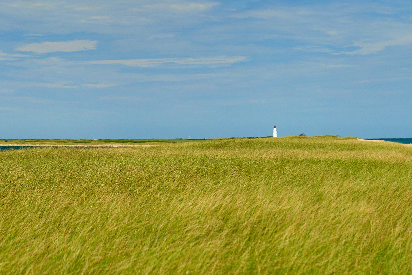 Distant Traveler