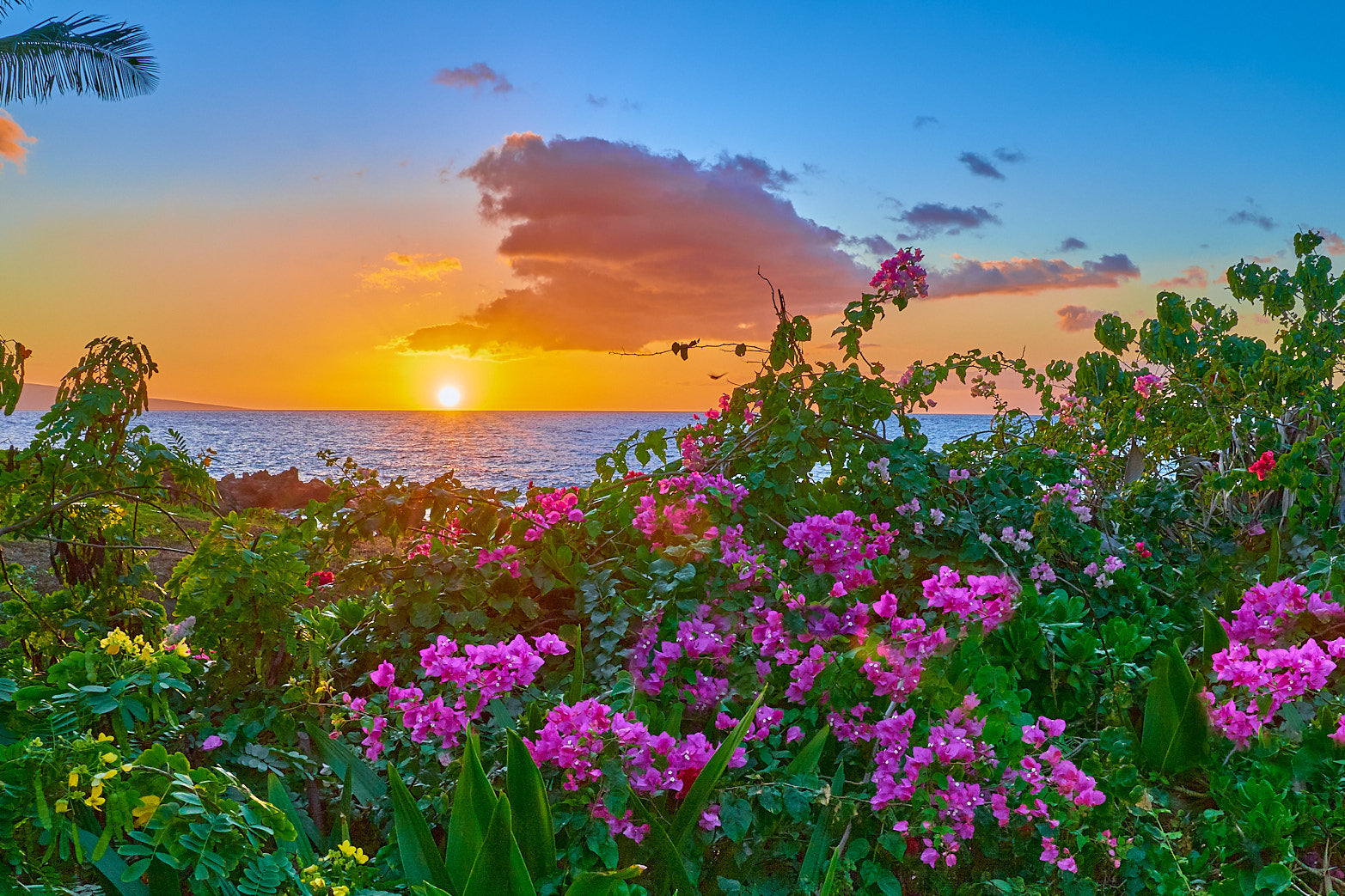 Maui Sunset