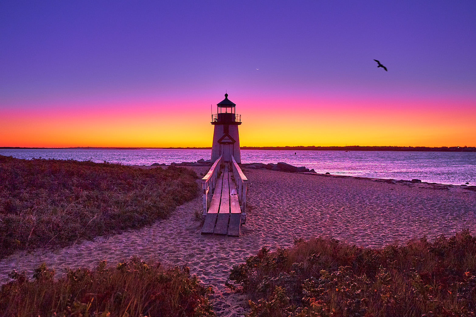 First Light
